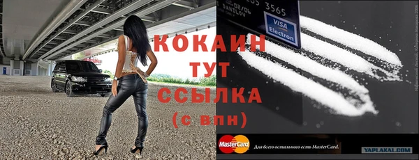 тгк Алзамай