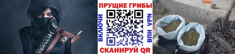 Псилоцибиновые грибы Magic Shrooms ссылка на мегу ТОР Советская Гавань